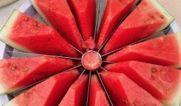 每日大赛 吃瓜--大赛每日芋圆呀呀吃瓜,芋圆呀呀带你吃瓜，欢乐无限